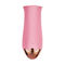 USB chargeant Rose Pink Vibrating Egg Electric léchant le Massager