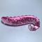 jouets de sexe d'adultes de godemiché en verre de hippocampe de rose de 17.5*3.2cm longs